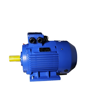 YE4 series ultra-high efficiency three-phase asynchronous motor